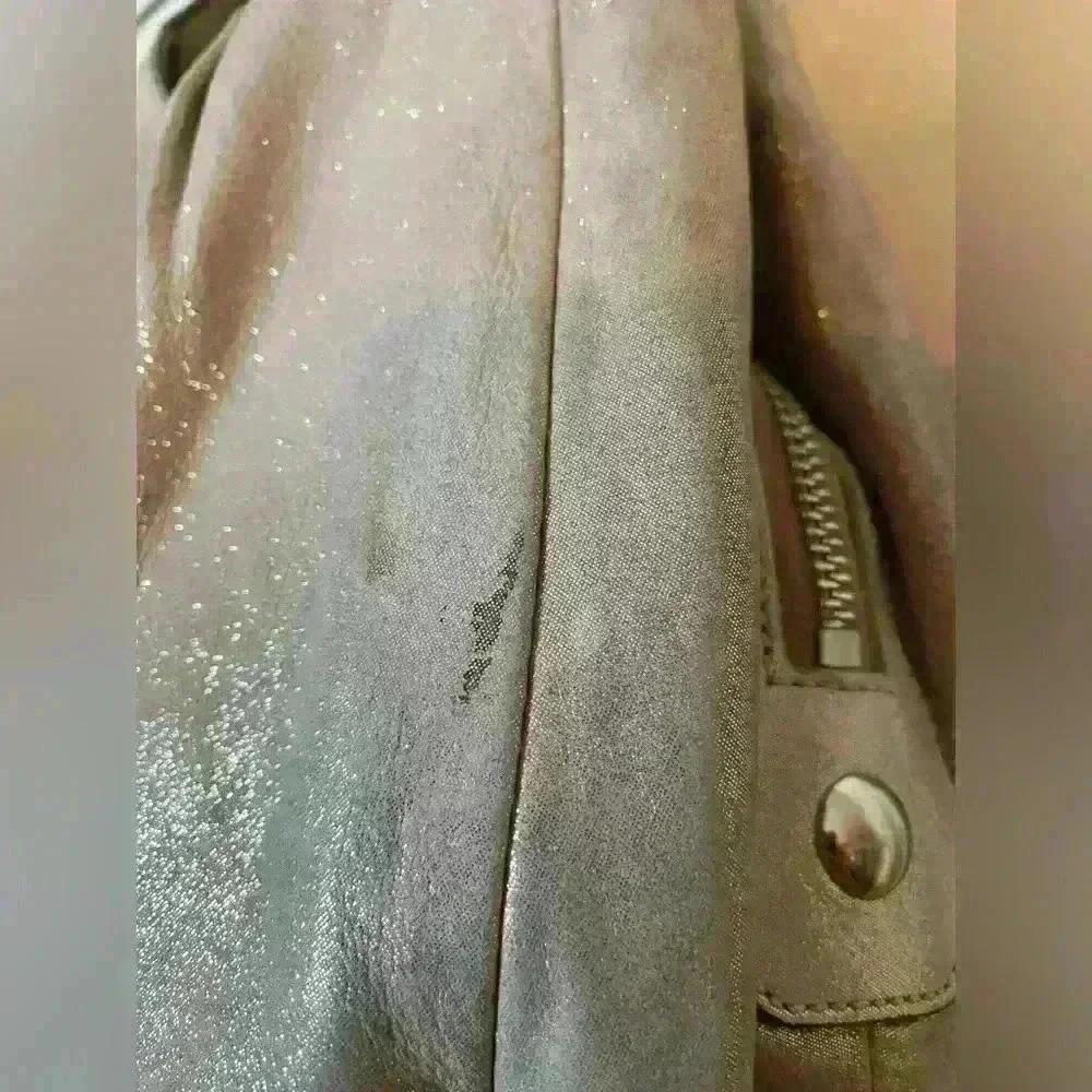 Coach Champagne Silver Sparkle Hobo - Picture 11 of 13